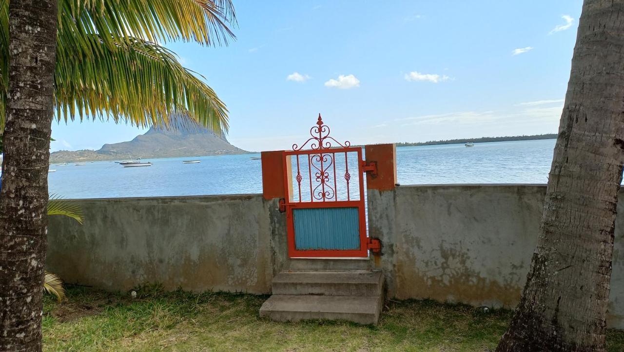 Seaview Studio - ลากูแล็ตต์ ภายนอก รูปภาพ